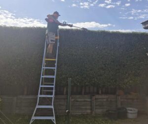 Hedging hedging in the hunter region